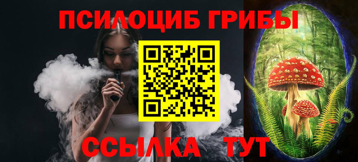 Галлюциногенные грибы прущие грибы  Вход с VPN  Аргун 